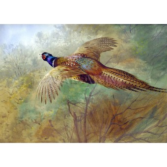 Летящ фазан (1900) РЕПРОДУКЦИИ НА КАРТИНИ